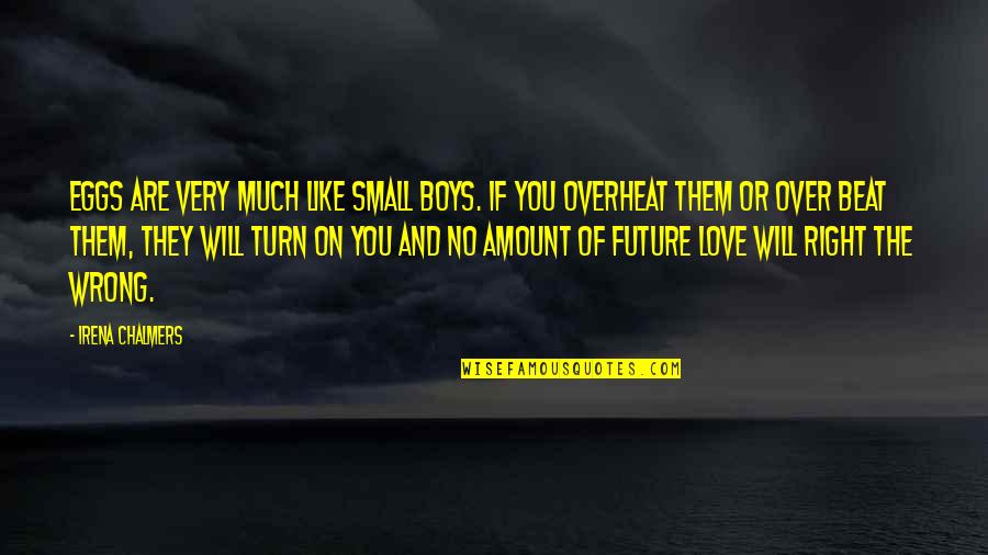 Right Wrong Love Quotes By Irena Chalmers: Eggs are very much like small boys. If