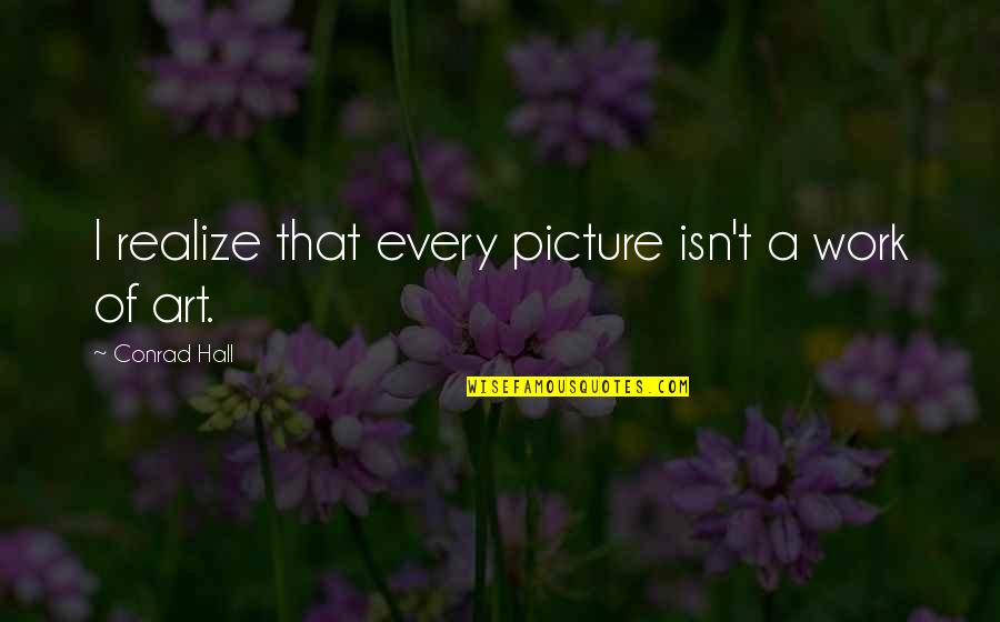 Righteous Biblical Quotes By Conrad Hall: I realize that every picture isn't a work