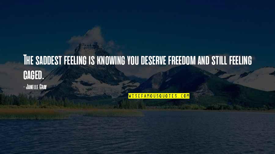 Rights Freedom Quotes By Janelle Gray: The saddest feeling is knowing you deserve freedom