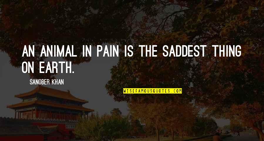 Rights Of Animals Quotes By Sanober Khan: An animal in pain is the saddest thing