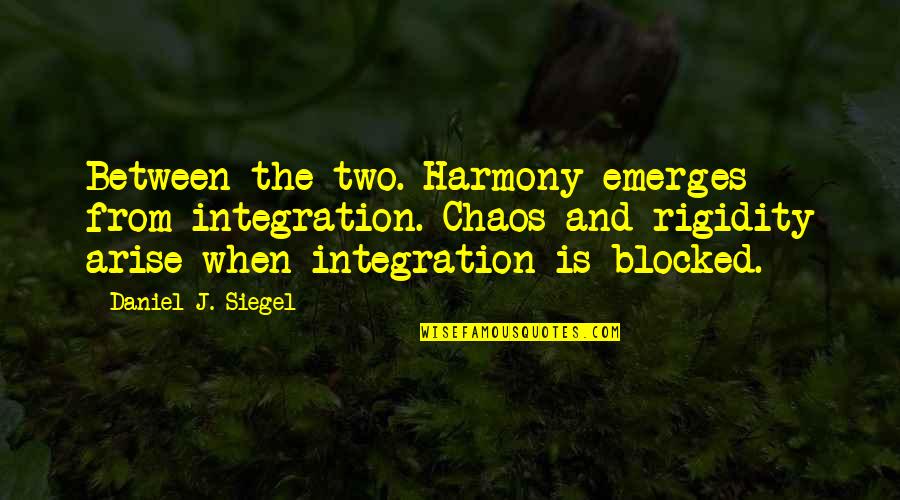 Rigidity Quotes By Daniel J. Siegel: Between the two. Harmony emerges from integration. Chaos