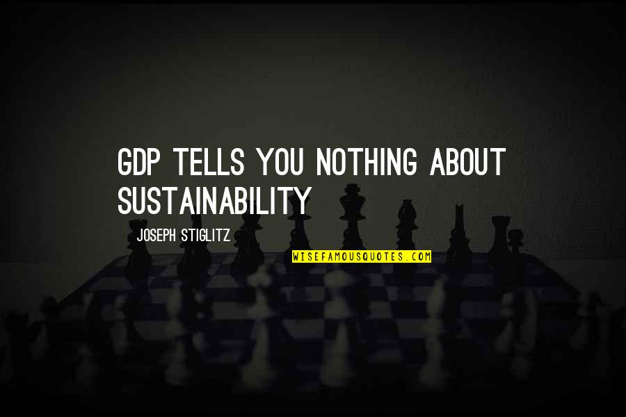 Rihaishi Quotes By Joseph Stiglitz: GDP tells you nothing about sustainability