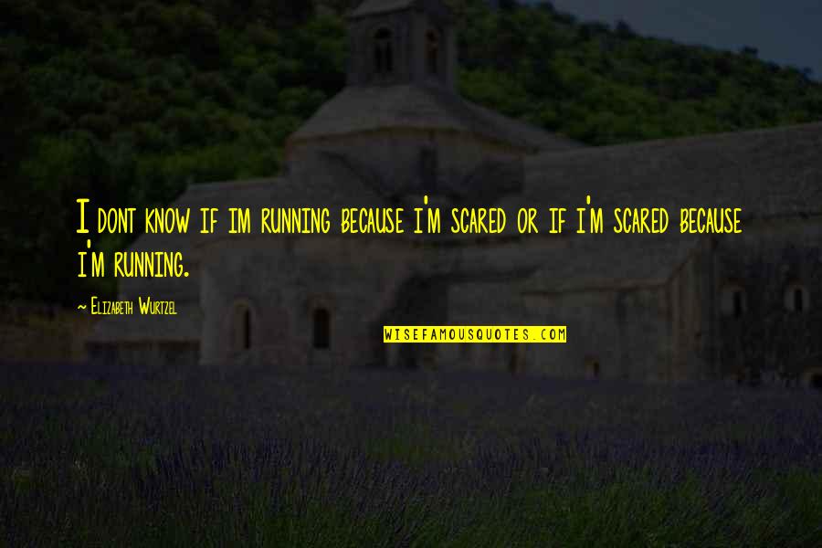 Riihiluomas Flying Quotes By Elizabeth Wurtzel: I dont know if im running because i'm