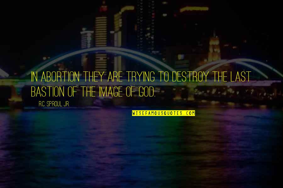 Rijcon Quotes By R.C. Sproul Jr.: In abortion they are trying to destroy the