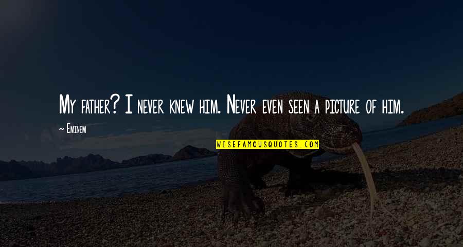 Rijke Landen Quotes By Eminem: My father? I never knew him. Never even