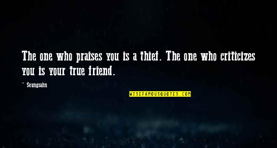 Rikimaru Video Quotes By Seungsahn: The one who praises you is a thief.