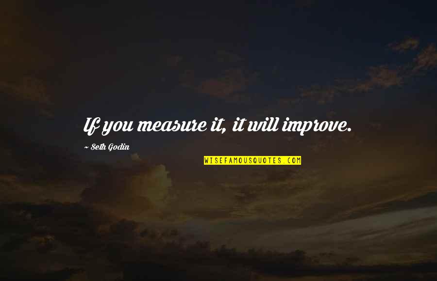Rikkia Mills Quotes By Seth Godin: If you measure it, it will improve.