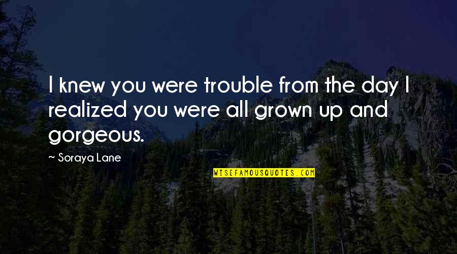 Riktig Tid Quotes By Soraya Lane: I knew you were trouble from the day