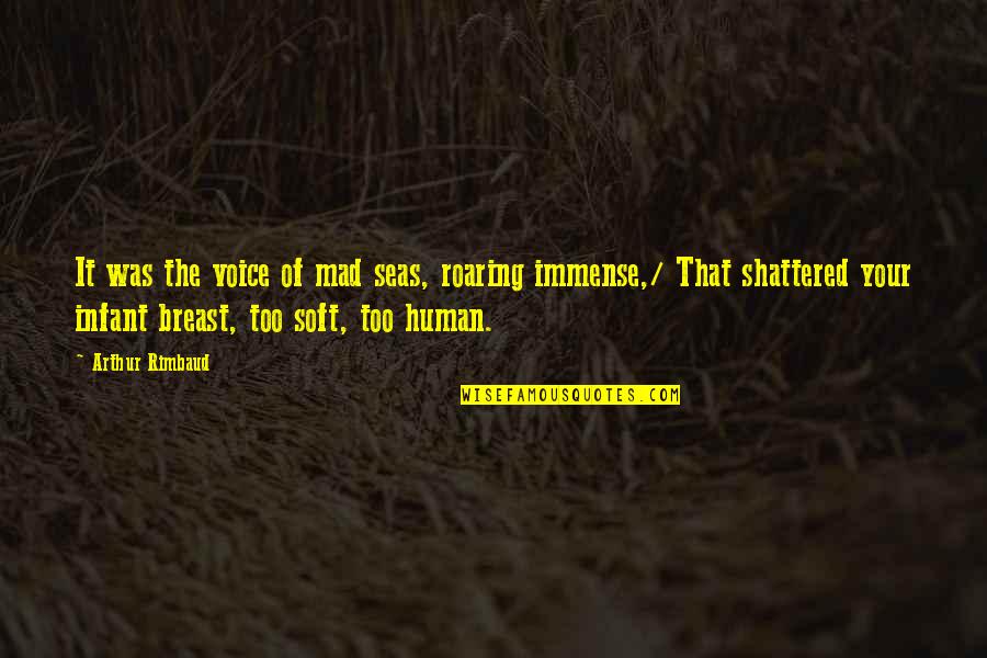 Rimbaud Arthur Quotes By Arthur Rimbaud: It was the voice of mad seas, roaring Rimbaud Arthur Quotes By Arthur Rimbaud: It was the voice of mad seas, roaring