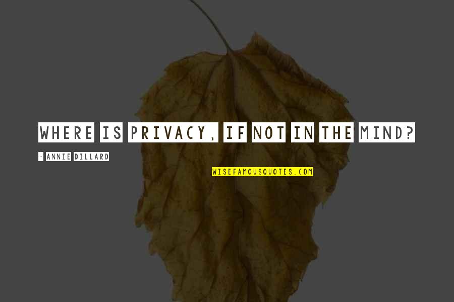 Rimvydas Zidziunas Quotes By Annie Dillard: Where is privacy, if not in the mind?