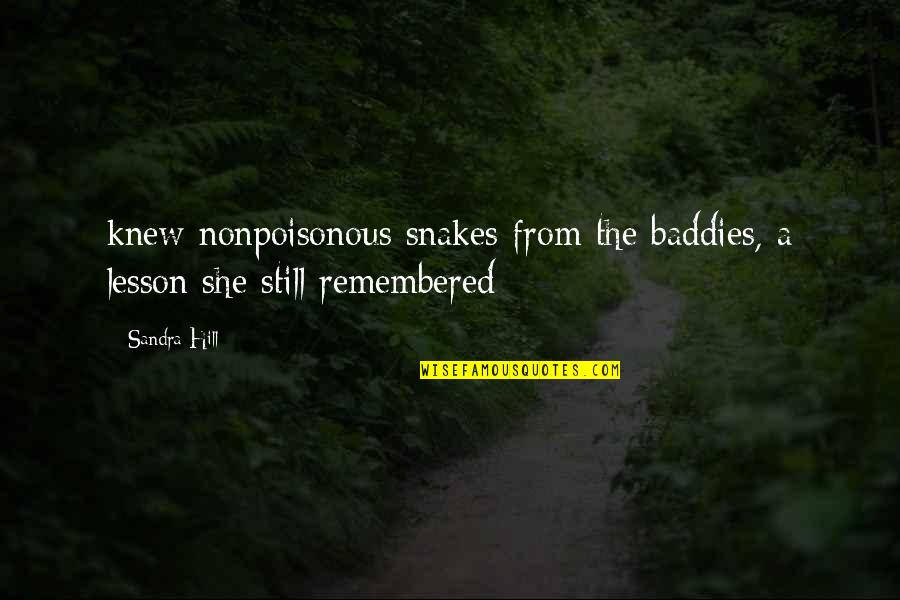 Rimway Frames Quotes By Sandra Hill: knew nonpoisonous snakes from the baddies, a lesson