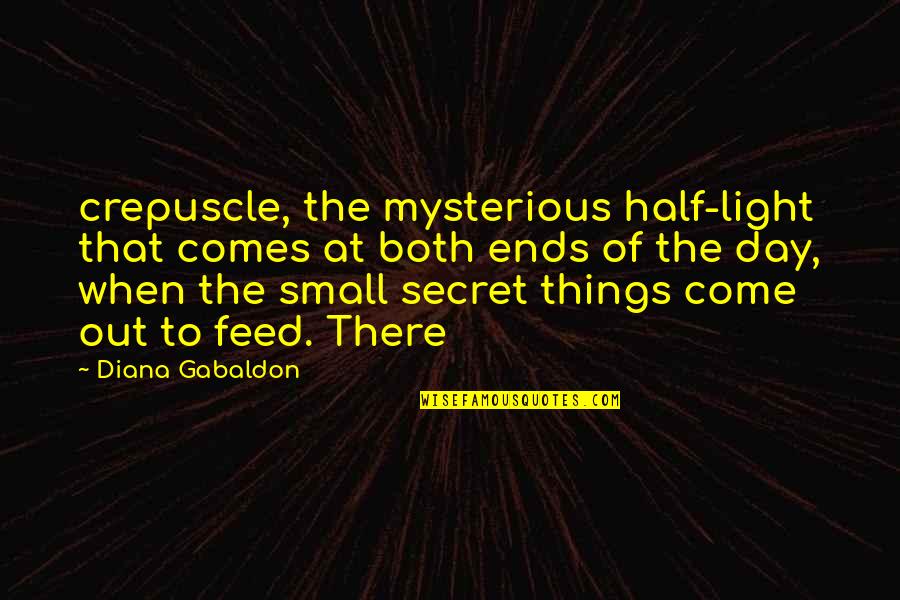 Rinad Subliminal Quotes By Diana Gabaldon: crepuscle, the mysterious half-light that comes at both