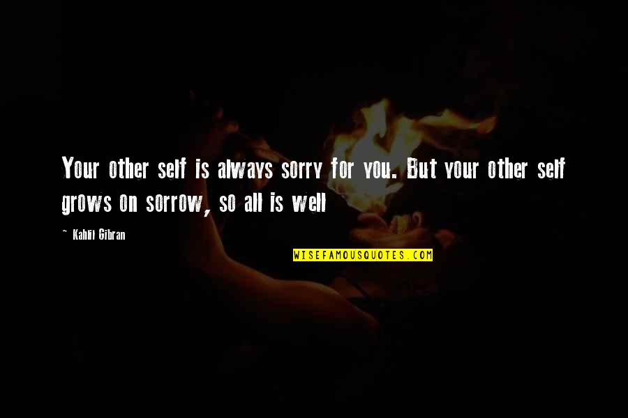 Rina's Quotes By Kahlil Gibran: Your other self is always sorry for you.