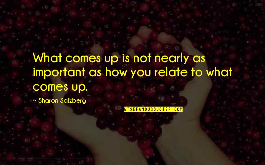 Ringo Bonavena Quotes By Sharon Salzberg: What comes up is not nearly as important