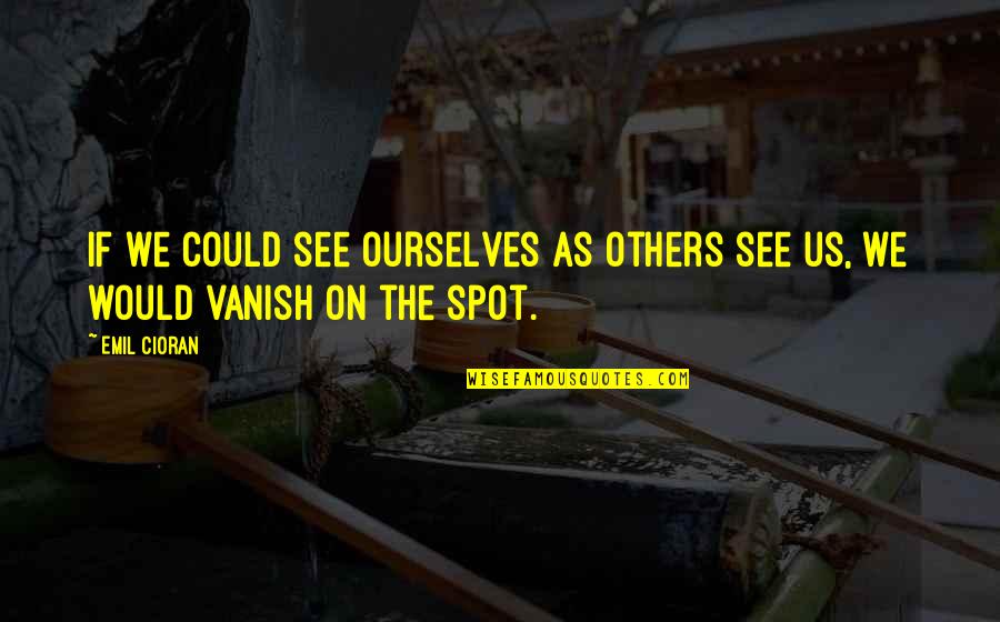 Rinkaku2t Quotes By Emil Cioran: If we could see ourselves as others see