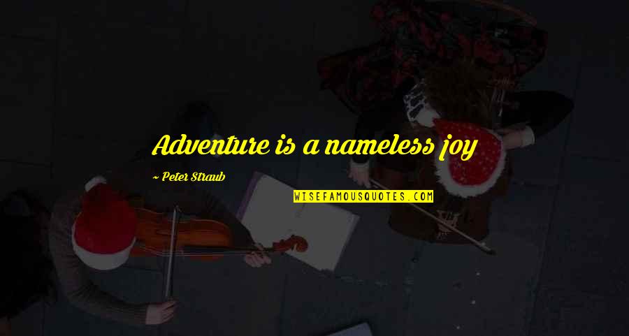 Rinnovamento Nello Quotes By Peter Straub: Adventure is a nameless joy
