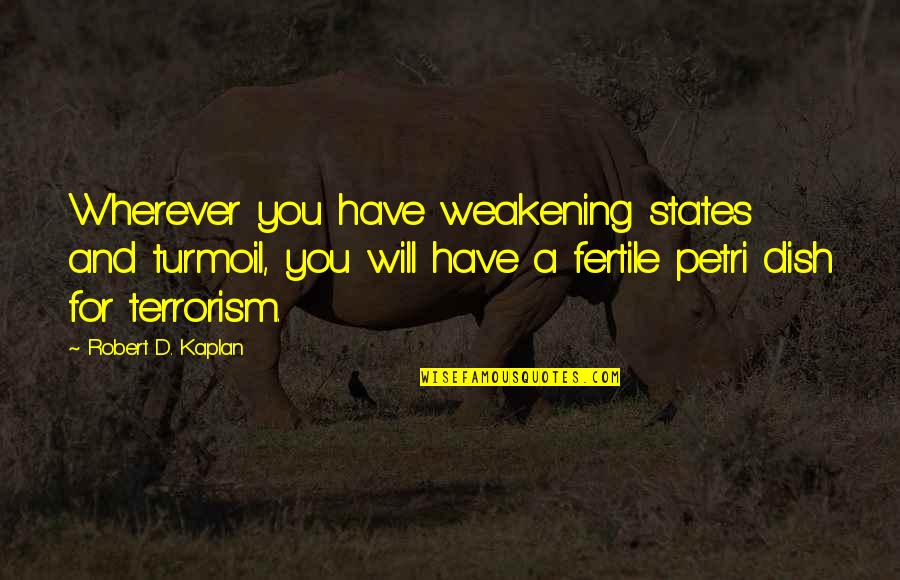 Rinse Ace Quotes By Robert D. Kaplan: Wherever you have weakening states and turmoil, you Rinse Ace Quotes By Robert D. Kaplan: Wherever you have weakening states and turmoil, you