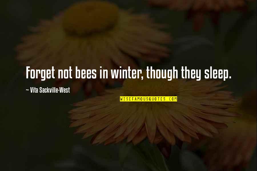 Rinzoneonline Quotes By Vita Sackville-West: Forget not bees in winter, though they sleep.