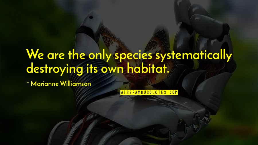 Rio Ranger Quotes By Marianne Williamson: We are the only species systematically destroying its