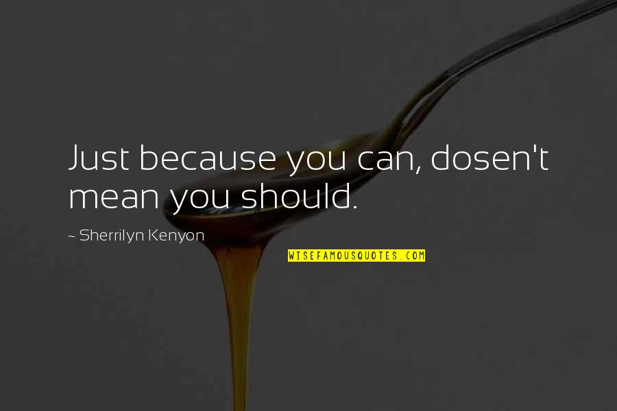 Riolo And Associates Quotes By Sherrilyn Kenyon: Just because you can, dosen't mean you should. Riolo And Associates Quotes By Sherrilyn Kenyon: Just because you can, dosen't mean you should.