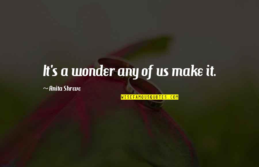 Riozzi Quotes By Anita Shreve: It's a wonder any of us make it. Riozzi Quotes By Anita Shreve: It's a wonder any of us make it.