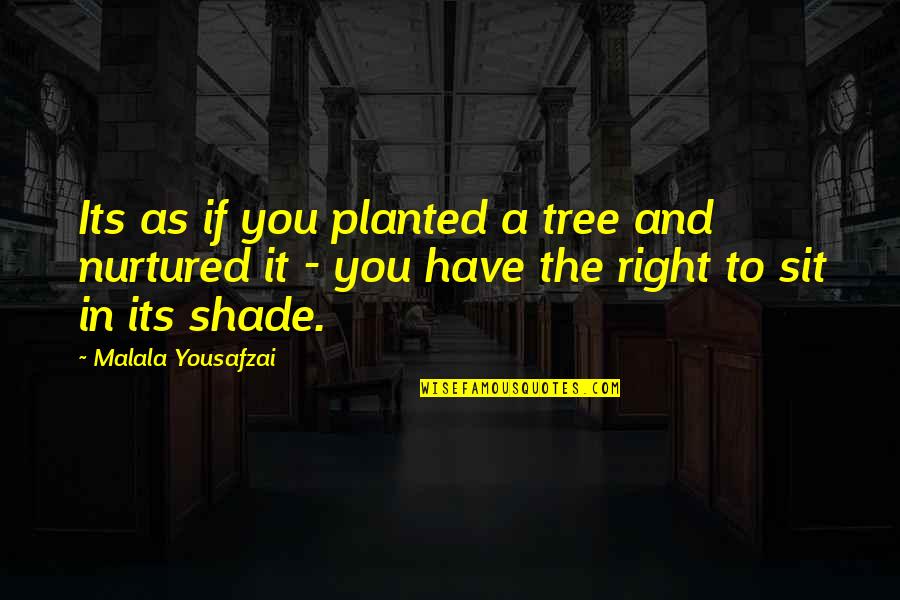 Rip Currents Quotes By Malala Yousafzai: Its as if you planted a tree and Rip Currents Quotes By Malala Yousafzai: Its as if you planted a tree and