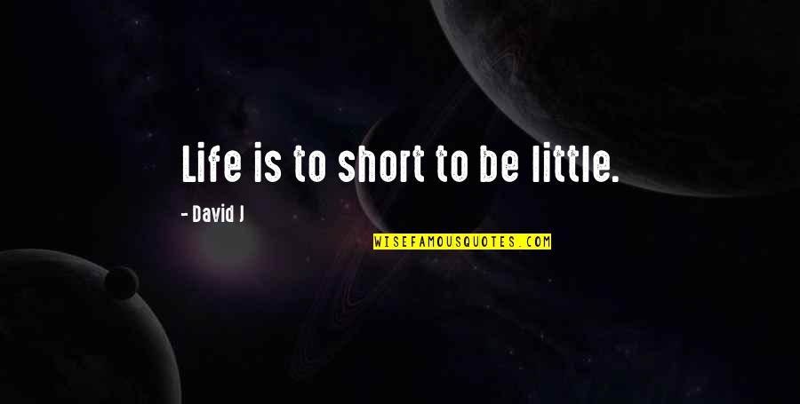 Ripas De Madeira Quotes By David J: Life is to short to be little.