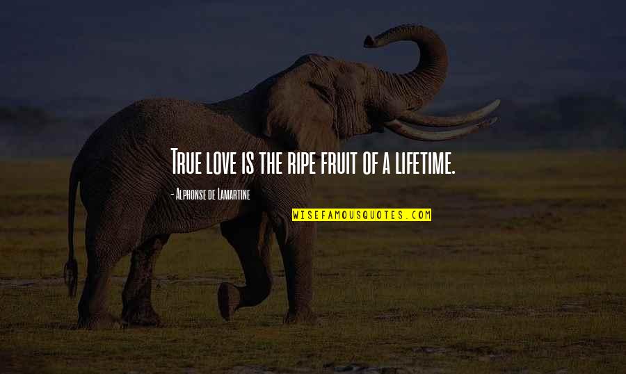 Ripe Fruit Quotes By Alphonse De Lamartine: True love is the ripe fruit of a