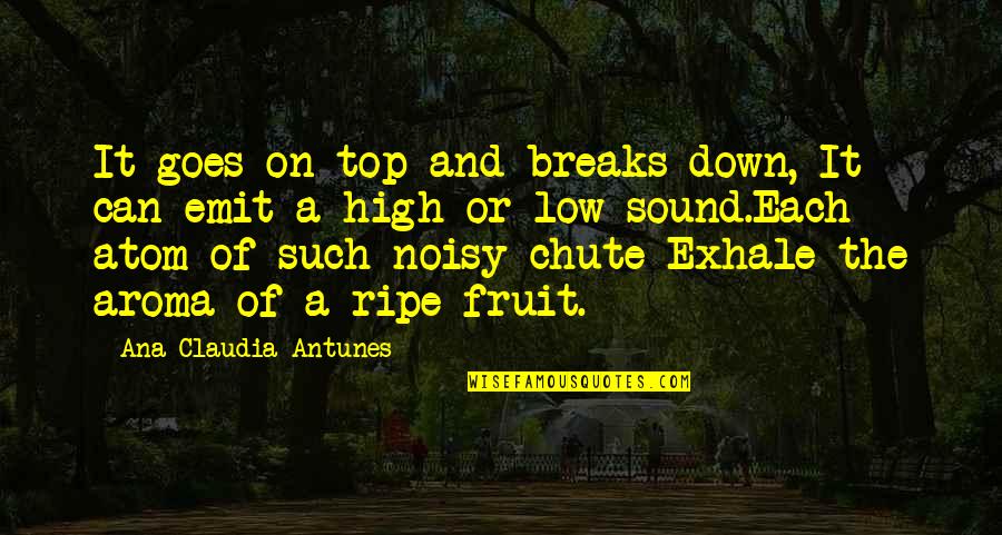 Ripe Fruit Quotes By Ana Claudia Antunes: It goes on top and breaks down, It