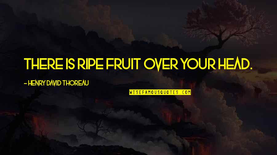 Ripe Fruit Quotes By Henry David Thoreau: There is ripe fruit over your head.