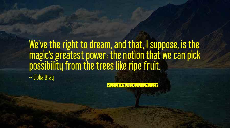 Ripe Fruit Quotes By Libba Bray: We've the right to dream, and that, I