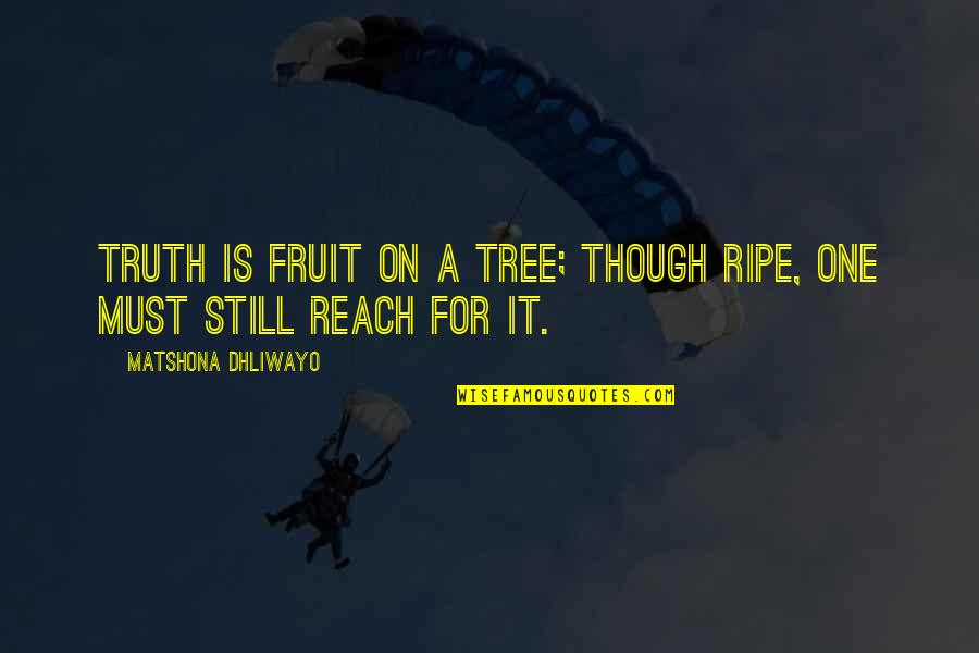 Ripe Fruit Quotes By Matshona Dhliwayo: Truth is fruit on a tree; though ripe,