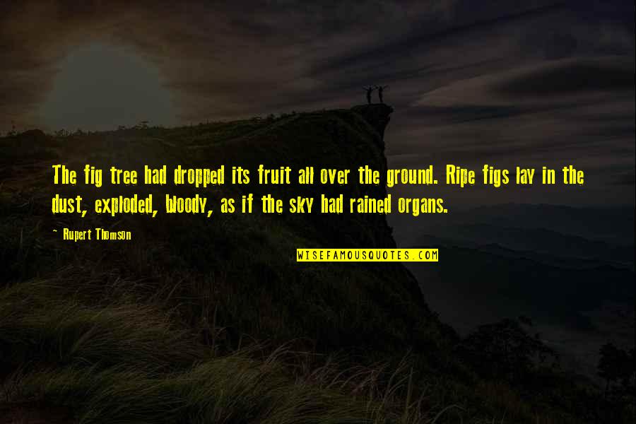Ripe Fruit Quotes By Rupert Thomson: The fig tree had dropped its fruit all