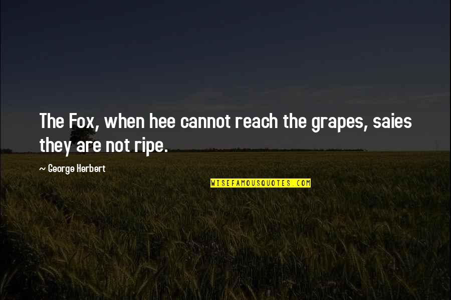 Ripe Grapes Quotes By George Herbert: The Fox, when hee cannot reach the grapes, Ripe Grapes Quotes By George Herbert: The Fox, when hee cannot reach the grapes,