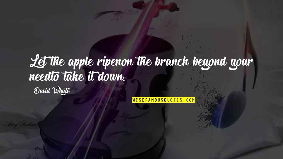 Ripen Quotes By David Whyte: Let the apple ripenon the branch beyond your