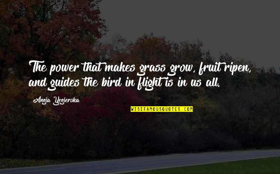 Ripen'd Quotes By Anzia Yezierska: The power that makes grass grow, fruit ripen,