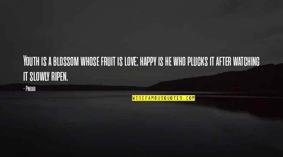 Ripen'd Quotes By Pindar: Youth is a blossom whose fruit is love;