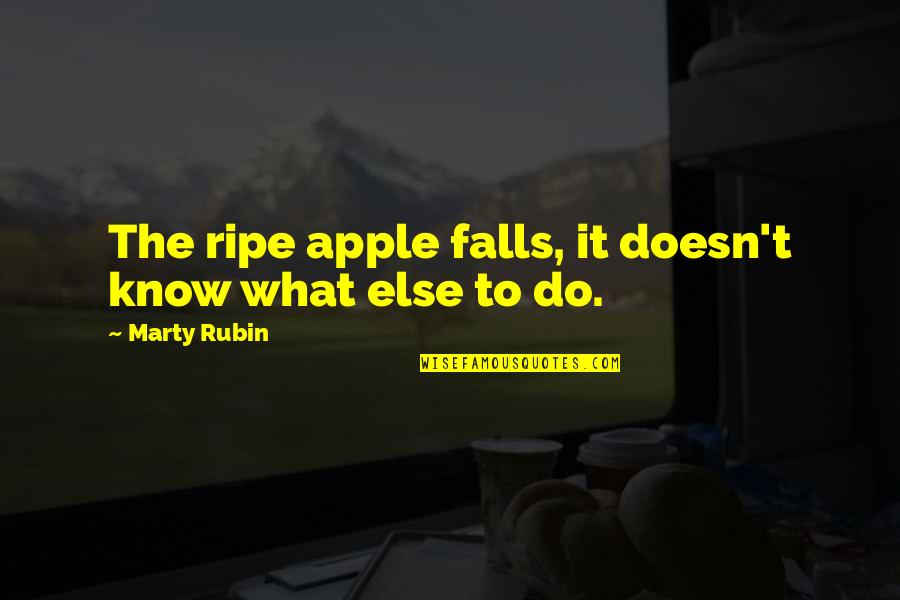 Ripeness Quotes By Marty Rubin: The ripe apple falls, it doesn't know what