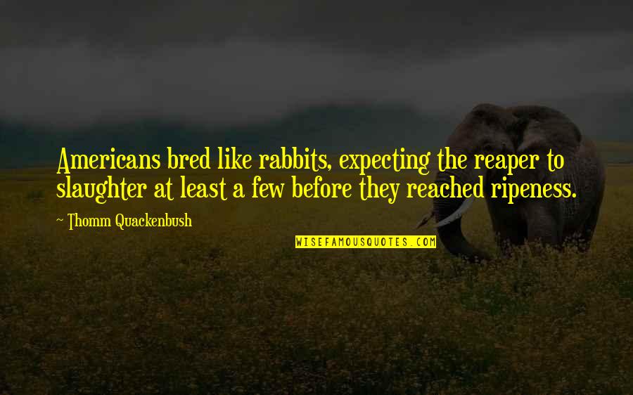 Ripeness Quotes By Thomm Quackenbush: Americans bred like rabbits, expecting the reaper to