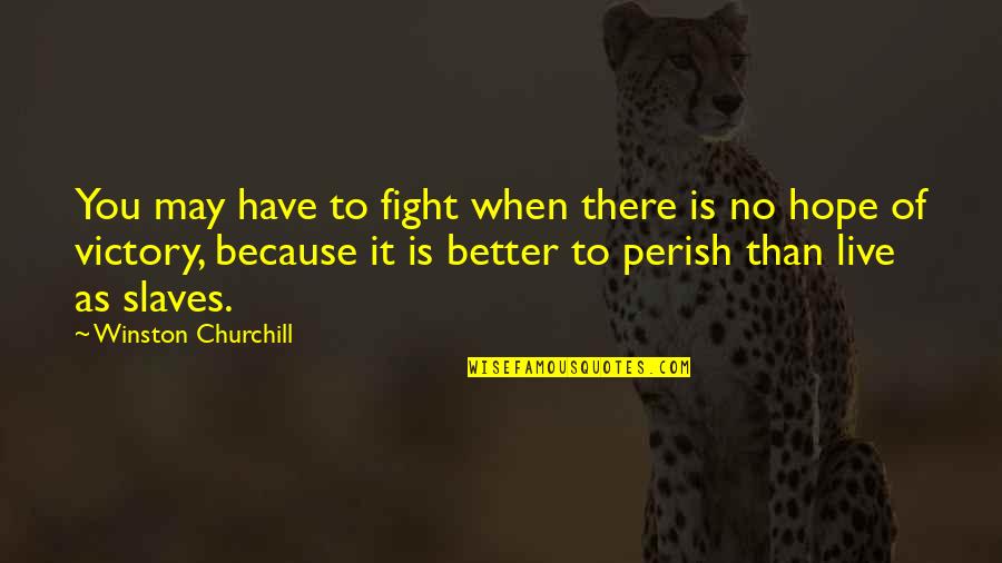 Ripening Fruit Quotes By Winston Churchill: You may have to fight when there is