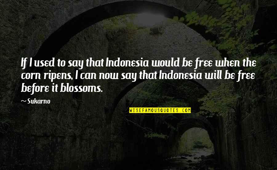 Ripens Quotes By Sukarno: If I used to say that Indonesia would Ripens Quotes By Sukarno: If I used to say that Indonesia would