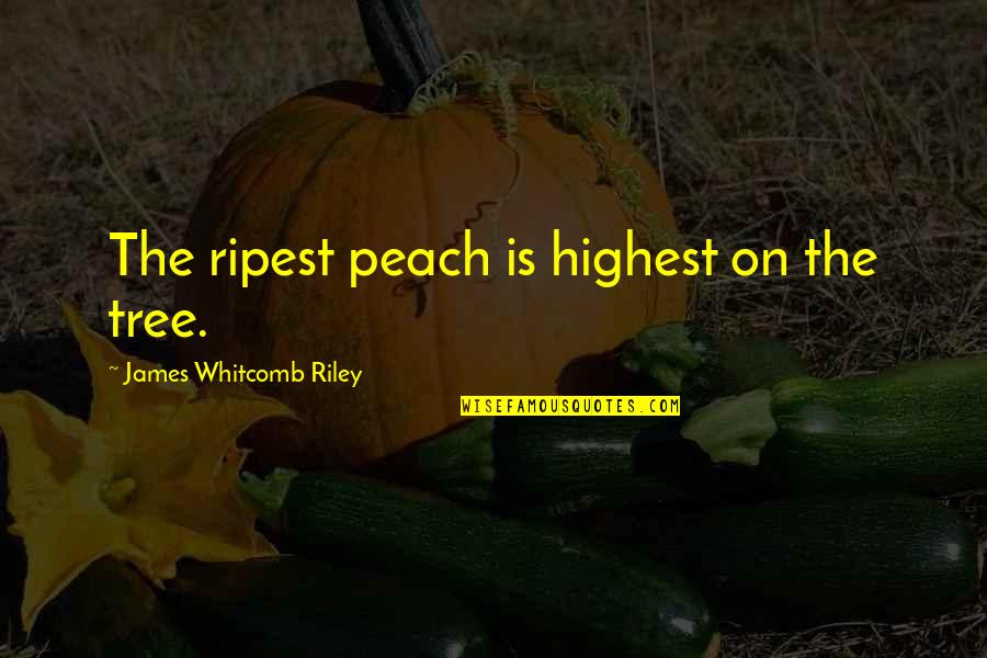 Ripest Peach Quotes By James Whitcomb Riley: The ripest peach is highest on the tree.