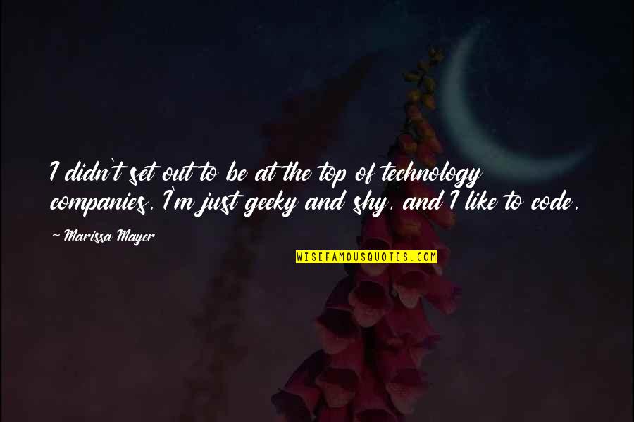 Riph Quotes By Marissa Mayer: I didn't set out to be at the