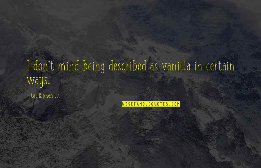 Ripken Quotes By Cal Ripken Jr.: I don't mind being described as vanilla in