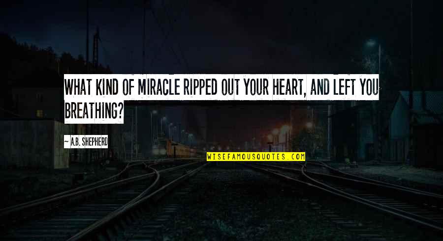 Ripped Heart Quotes By A.B. Shepherd: What kind of miracle ripped out your heart,