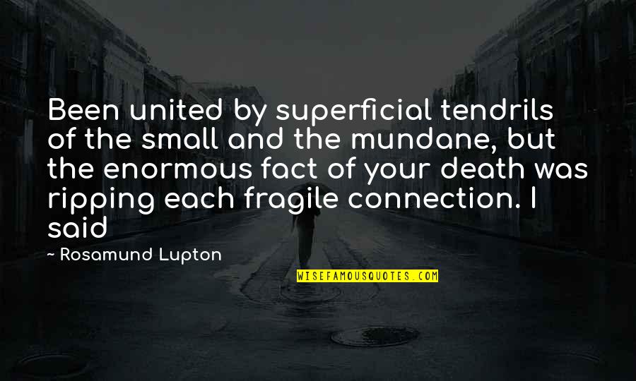 Ripping Quotes By Rosamund Lupton: Been united by superficial tendrils of the small Ripping Quotes By Rosamund Lupton: Been united by superficial tendrils of the small