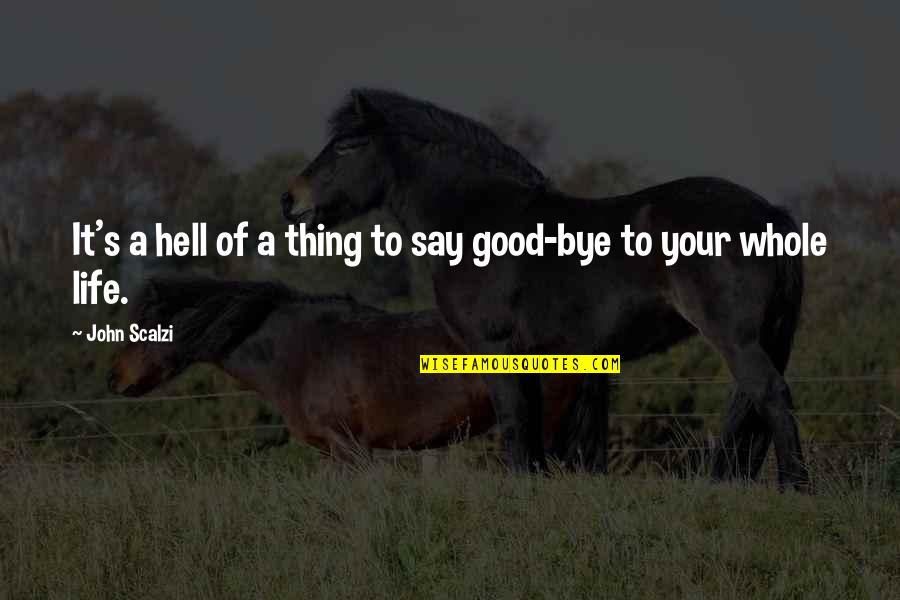 Rippled Fingernails Quotes By John Scalzi: It's a hell of a thing to say