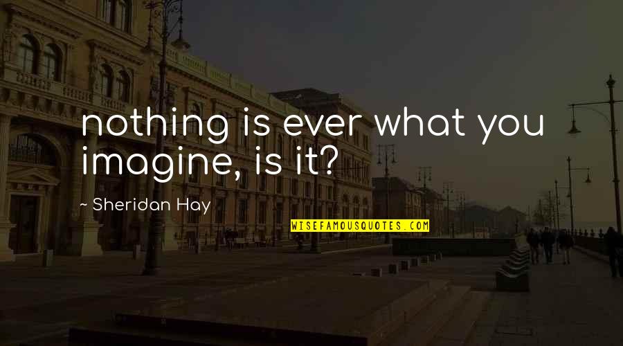 Rippy Automotive Wilmington Quotes By Sheridan Hay: nothing is ever what you imagine, is it?