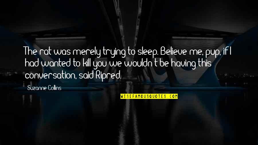 Ripred's Quotes By Suzanne Collins: The rat was merely trying to sleep. Believe