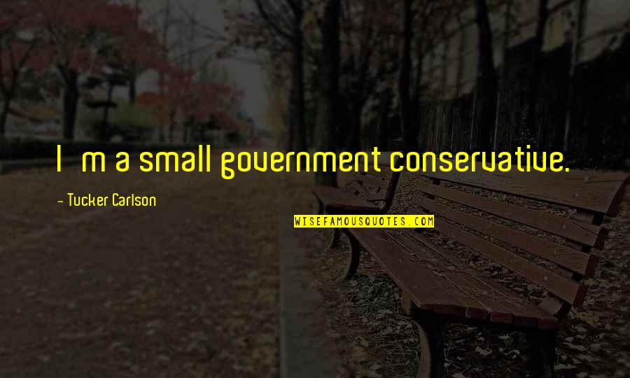 Risaralda Hoy Quotes By Tucker Carlson: I'm a small government conservative. Risaralda Hoy Quotes By Tucker Carlson: I'm a small government conservative.